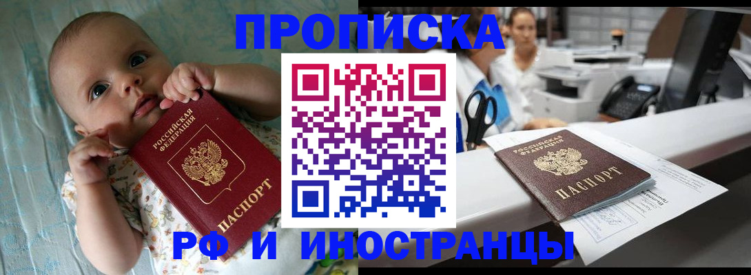 прописка поиск в Камышине