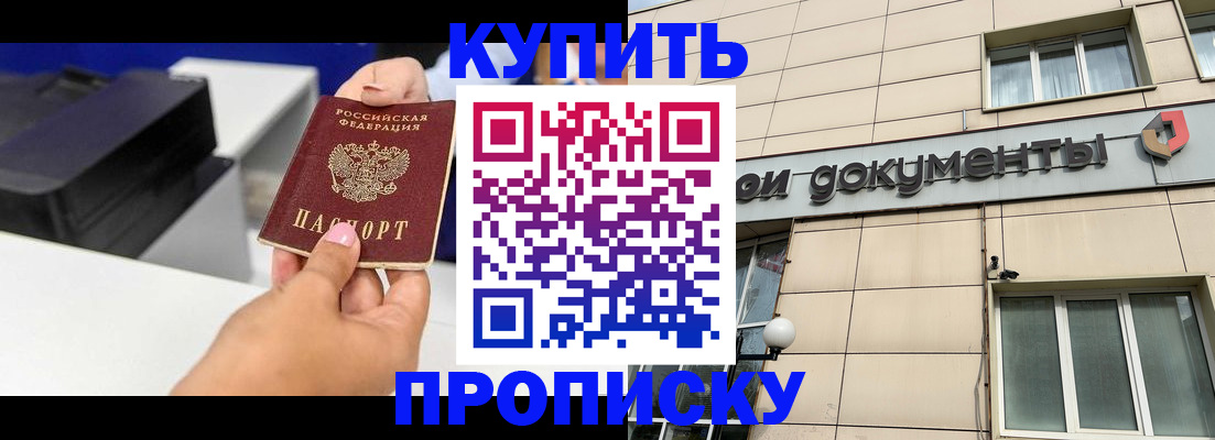 прописка паспорт в Камышине